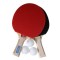 Набор для настольного тенниса Taichi, (2 ракетки, 3 мяча), для интенсивных тренировок