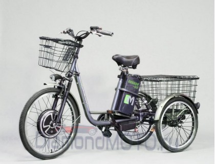 Электровелосипед E-motions Kangoo-ru 700