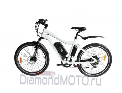 El-sport bike TDE-10 350W
