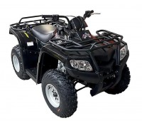 Квадроцикл ArmadA ATV 200 L