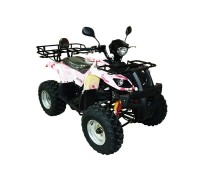 Квадроцикл ArmadA ATV 150B R8