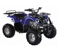 Квадроцикл Motoland ATV 125U