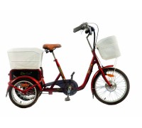 Электровелосипед Трицикл Eko-Bike Dacha(Fazenda) 250
