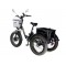 Электрический трицикл фэтбайк E-motions FAT Panda 20 (750W 15Ah)