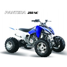Квадроцикл Bison Pantera 250 Ns