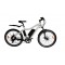 El-sport bike TDE-10 350W